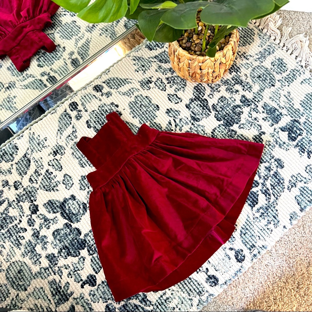 Wren & James velvet dress